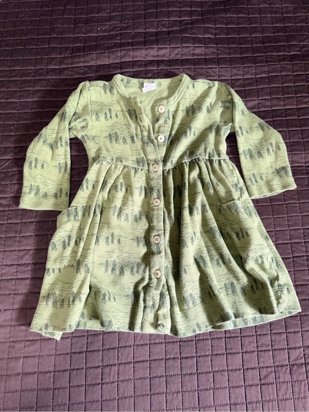 Kate Quinn button front dress | little mountain | 18-24m